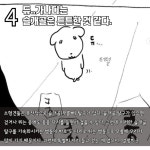 수의사가 진지하게 분석한 듀..가나디 견종, 성별.twt - 악플달면... 20대들의 알흠다운 공간 수의사가 진지하게 분석한 듀..가나디 견종, 성별.twt
