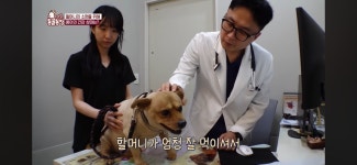 [동물농장] 87세 할머니가 병원 치료를 거부한 이유 - 악플달면... 20대들의 알흠다운 공간 [동물농장] 87세 할머니가 병원 치료를 거부한 이유