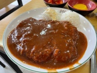 소스 듬뿍 경양식 돈까스 - 악플달면 쩌리쩌려버려 - ＊여성시대＊ 차분한 20대들의 알흠다운 공간 소스 듬뿍 경양식 돈까스