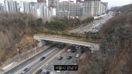 더쿠 - 서울 강남 생태통로에 발견된 동물은 누가 있을까?