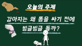 강아지는 왜 똥을 싸기 전에 빙글빙글 돌까? - 악플달면 쩌리쩌려버려... 차분한 20대들의 알흠다운 공간 강아지는 왜 똥을 싸기 전에 빙글빙글 돌까?