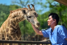애버랜드 동물들의 건강검진날 - 악플달면 쩌리쩌려버려 - ＊여성시대＊ 차분한 20대들의 알흠다운 공간 애버랜드 동물들의 건강검진날