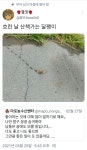 흐린 날 산책가는 달팽이 - 악플달면 쩌리쩌려버려 - ＊여성시대＊ 차분한 20대들의 알흠다운 공간 흐린 날 산책가는 달팽이