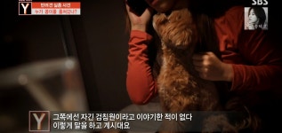 오늘 궁금한 이야기Y에 나온 검침원 강아지 유괴사건 어이없는 흐름과 결말.jpg - 인스티즈(instiz) 이슈 카테고리 오늘 궁금한 이야기Y에... 