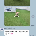 유치원 짤린 강아지 - 악플달면 쩌리쩌려버려 - ＊여성시대＊ 차분한 20대들의 알흠다운 공간 유치원 짤린 강아지