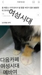 자유게시판 귀여운거 옪다 ㄷㄷ 댓 연어 필수 ㅋㄷ 11/04 추가욤 - 메이드바이여시 - ＊여성시대＊ 차분한 20대들의 알흠다운 공간 자유게시판... 