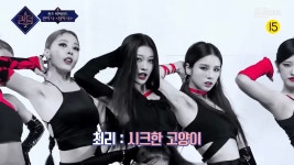 [퀸덤] 퀸이 나 멤버들이 직접 풀어주는 탐이나에서 서로가 맡은 고양이... 퀸이 나 멤버들이 직접 풀어주는 탐이나에서 서로가 맡은 고양이 역할... 