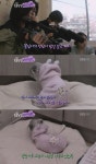 TV 동물농장 흑역사 - 악플달면 쩌리쩌려버려 - ＊여성시대＊ 차분한 20대들의 알흠다운 공간 TV 동물농장 흑역사