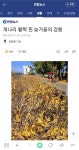 개나리 활짝 핀 늦가을의 강릉 - 악플달면 쩌리쩌려버려 - ＊여성시대＊ 차분한 20대들의 알흠다운 공간 개나리 활짝 핀 늦가을의 강릉