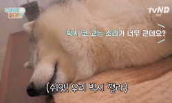 설채현X가비의 다이어트하개에 출연한 뚱댕이들 - 악플달면... 차분한 20대들의 알흠다운 공간 설채현X가비의 다이어트하개에 출연한 뚱댕이들