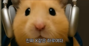 퇴근 후 작동하는 몹쓸 보상심리ㅋㅋㅋ - 악플달면 쩌리쩌려버려... 차분한 20대들의 알흠다운 공간 퇴근 후 작동하는 몹쓸 보상심리ㅋㅋㅋ