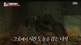 동물농장 저번주 레전드 회차 수리부엉이 가족과 둘째 이야기.jpg... 공간 동물농장 저번주 레전드 회차 수리부엉이 가족과 둘째 이야기.jpg
