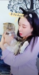 길고양이 입양해서 키우는 유튜버 - 악플달면 쩌리쩌려버려 - ＊여성시대＊ 차분한 20대들의 알흠다운 공간 길고양이 입양해서 키우는 유튜버