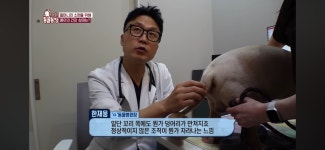 [동물농장] 87세 할머니가 병원 치료를 거부한 이유 - 악플달면 쩌리쩌려버려 - ＊여성시대＊ 차분한 20대들의 알흠다운 공간 [동물농장] 87세... 