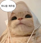 갓생에 흥미 없는 달글 ••• 한량이 체질에 맞는 달글 ••• - 인스티즈(instiz) 이슈 카테고리 갓생에 흥미 없는 달글 ••• 한량이... 