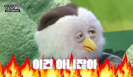 딩동댕대학교+펭수 - └ 짤방백과(콧멍으로편입) - ＊여성시대＊ 차분한 20대들의 알흠다운 공간 딩동댕대학교+펭수