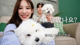 펫샵, 품종 동물 소비한 유명인 모음 zip. - 악플달면 쩌리쩌려버려 - ＊여성시대＊ 차분한 20대들의 알흠다운 공간 펫샵, 품종 동물 소비한... 