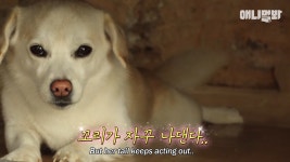 절미언니 자취해서 ㅇㅇ한 짱절미 된 근황ㅠㅠ.jpg - 악플달면... 20대들의 알흠다운 공간 절미언니 자취해서 ㅇㅇ한 짱절미 된 근황ㅠㅠ.jpg