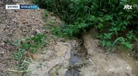 더쿠 - 약혐) 충북 제천 산골마을에 파리 대재앙...알고보니 분뇨 700톤 방치