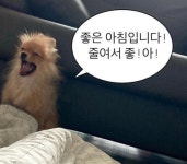 갤러리 최신부터 터는 주제없는 짤털 - 콧멍에트💛잇게짤털 - ＊여성시대＊ 차분한 20대들의 알흠다운 공간 갤러리 최신부터 터는 주제없는 짤털