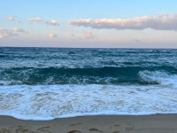 내가 사랑하는 동해바다 모음.zip - 콧멍에트💛잇게짤털 - ＊여성시대＊ 차분한 20대들의 알흠다운 공간 내가 사랑하는 동해바다 모음.zip