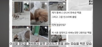 ‘나는 솔로’ 25기 광수 인스타 - 악플달면 쩌리쩌려버려 - ＊여성시대＊ 차분한 20대들의 알흠다운 공간 ‘나는 솔로’ 25기 광수 인스타