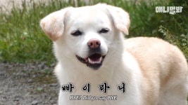 절미언니 자취해서 ㅇㅇ한 짱절미 된 근황ㅠㅠ.jpg - 악플달면... 20대들의 알흠다운 공간 절미언니 자취해서 ㅇㅇ한 짱절미 된 근황ㅠㅠ.jpg