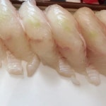 🍣 연어초밥 vs 광어초밥 🍣 - 악플달면 쩌리쩌려버려 - ＊여성시대＊ 차분한 20대들의 알흠다운 공간 🍣 연어초밥 vs 광어초밥 🍣