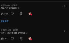 미야옹철 유튜브에 달린 뼈맞은 집사들 댓글.jpg - 악플달면 쩌리쩌려버려 - ＊여성시대＊ 차분한 20대들의 알흠다운 공간 미야옹철 유튜브에... 