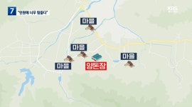 악취 민원에 힘들었다”…숨진 돼지 농장주 추모 - 인스티즈(instiz) 이슈 카테고리 