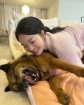 동물농장 똥개보필프로젝트에 참여중인 연예인과 임보 강아지들... 카테고리 동물농장 똥개보필프로젝트에 참여중인 연예인과 임보 강아지들