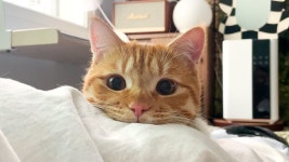 혼자 동글이 팔로우한 이재명..jpg - 악플달면 쩌리쩌려버려 - ＊여성시대＊ 차분한 20대들의 알흠다운 공간 혼자 동글이 팔로우한 이재명..jpg