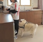 설채현X가비의 다이어트하개에 출연한 뚱댕이들 - 악플달면... 차분한 20대들의 알흠다운 공간 설채현X가비의 다이어트하개에 출연한 뚱댕이들