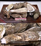 같은 만두 대첩 - 악플달면 쩌리쩌려버려 - ＊여성시대＊ 차분한... 일반인들은 따라할 수도 없고 평생 먹어볼 수도 없을 것 같은 만두 대첩