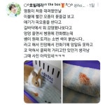 불안해서 동물병원 갔는데... - 악플달면 쩌리쩌려버려 - ＊여성시대＊ 차분한 20대들의 알흠다운 공간 불안해서 동물병원 갔는데...