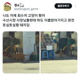속초에서 길고양이를 봤는데 사람들이 주는 간식을 안먹음 - 악플달면 쩌리쩌려버려 - ＊여성시대＊ 차분한 20대들의 알흠다운 공간 속초에서... 