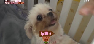 충격이다 못해 기괴한 오늘자 동물농장 폭로 방송 (충격주의).jpg... 공간 충격이다 못해 기괴한 오늘자 동물농장 폭로 방송 (충격주의).jpg