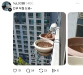 동물농장 한편 뚝딱 찍은 어느 스레드인 (feat.황조롱이) 🦉... 알흠다운 공간 동물농장 한편 뚝딱 찍은 어느 스레드인 (feat.황조롱이) 🦉