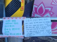 고등어 고양이 챙겨주신 분들께 - 악플달면 쩌리쩌려버려 - ＊여성시대＊ 차분한 20대들의 알흠다운 공간 고등어 고양이 챙겨주신 분들께