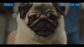 멍뭉이 예고편 - 악플달면 쩌리쩌려버려 - ＊여성시대＊ 차분한 20대들의 알흠다운 공간 멍뭉이 예고편