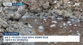 더쿠 - 약혐) 충북 제천 산골마을에 파리 대재앙...알고보니 분뇨 700톤 방치