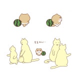 베리언니 기둘리면서 오도카니 수박 지키고 잇었을 미니 상상하니까... 베리언니 기둘리면서 오도카니 수박 지키고 잇었을 미니 상상하니까...