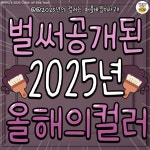 벌써 공개된 2025년 올해의 컬러 - 악플달면 쩌리쩌려버려 - ＊여성시대＊ 차분한 20대들의 알흠다운 공간 벌써 공개된 2025년 올해의 컬러