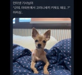아파트에서 새끼고라니 키워도 돼요? - 악플달면 쩌리쩌려버려 - ＊여성시대＊ 차분한 20대들의 알흠다운 공간 아파트에서 새끼고라니 키워도 돼요?