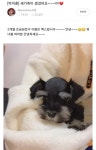 박지훈도 애견샵에서 강아지 데려옴 - 막이슈 - 쭉빵카페 박지훈도 애견샵에서 강아지 데려옴