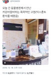 동물 트위터 모음.twt - 악플달면 쩌리쩌려버려 - ＊여성시대＊ 차분한 20대들의 알흠다운 공간 동물 트위터 모음.twt