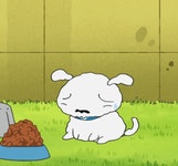 비만견이 된 짱구네 흰둥이.jpg - 악플달면 쩌리쩌려버려 - ＊여성시대＊ 차분한 20대들의 알흠다운 공간 비만견이 된 짱구네 흰둥이.jpg