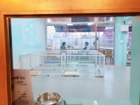 중랑구 유기견 애견카페 다시사랑받개 - 콧멍에트💛잇게짤털 - ＊여성시대＊ 차분한 20대들의 알흠다운 공간 댕댕이들 입양 관심있다면? 중랑구... 