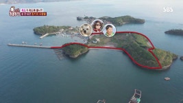 충청남도 죽도 관광객에게 길을 안내하는 똑똑이 밍키🐶 - 인스티즈(instiz) 이슈 카테고리 충청남도 죽도 관광객에게 길을 안내하는 똑똑이... 