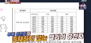 학계에 보고될 초희귀 사례급 반전인 오늘자 동물농장.jpg - 악플달면 쩌리쩌려버려 - ＊여성시대＊ 차분한 20대들의 알흠다운 공간 학계에... 